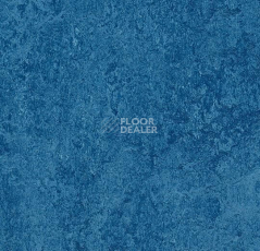 Кварцвиниловые полы Marmoleum Modular t3030 blue фото 1 | FLOORDEALER